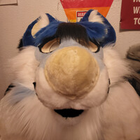 Zaine V4 Snooot