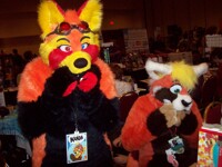 Califur 2011 (3)
