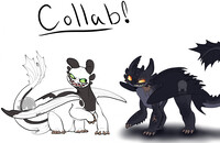 night lights meeting