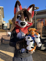 Ember The Cute, Sassy Fox