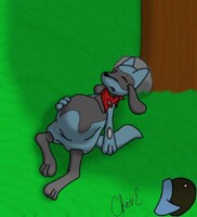 Keith Nommed Someone