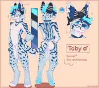 Toby reference sheet uwu