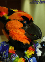 Caw >:3