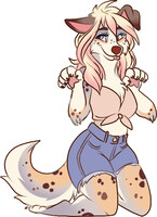 Australian Cattle Dog Adoptable SOLD