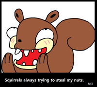 Damn squirrels