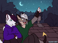 A Perfect Evening