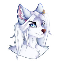 New sytle headshot of Nitro