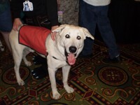 huh? what? oh hai =3