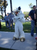 i dunno, cause i has a horn?