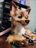 Fursuit partial