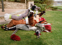 DOGPILE! Or... is it?