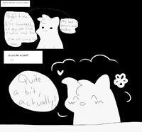 Questions and Answers 4