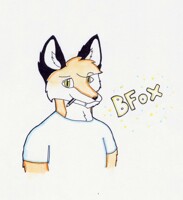 Old crap