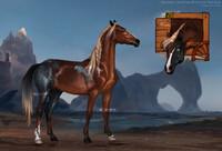 Horse ADOPT #164 [CLOSED]