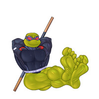 2003 Evil Bottomless Turtle Feet SFW w/ Shells - Donnie