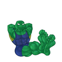 2003 Super Turtle Feet SFW w/ Shells - Griddex