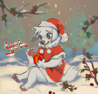YCH 5 SLOTS