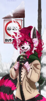 Numii Winter Lockscreen