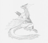 Shrieking Legiana anthro