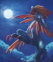Aknosom anthro (klongi)