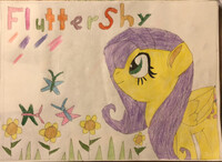 FlutterShy 1