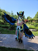Wingspan