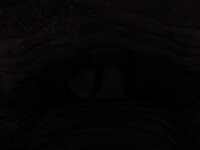 Research lab visit gone wrong 10