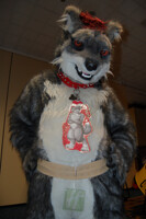 Morphicon '11 - "Like a Pillow"