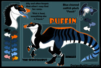 Puffin 2.0