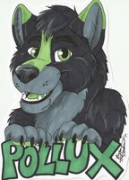 Pollux