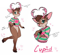 Cupid - Adoptable SOLD