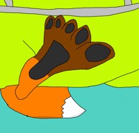 Hamilton the Fox's foot again 