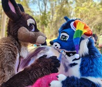 Deer and Braxton By St James