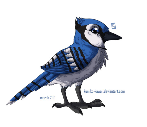 Bluejay Drawing Cute - Cartoon Blue Jay Drawing, HD Png Download