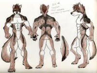 Trayton new test markings and hair