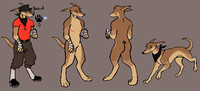 scout dawg reference sheet