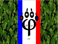 #142 New SAF flag- December 3888 -- Present | VG