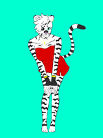 Chekkir the white tiger