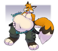 Holiday Aftermath Fox