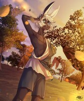 Great Sky Island Sunset