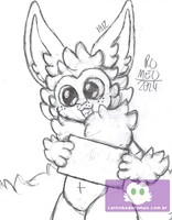 2024.166 - Com uma Plaquinha