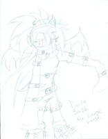 Dark sash the hedghog