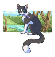 Kitewhisker