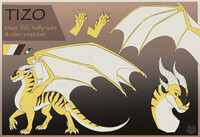 Tizo Reference sheet (CM)