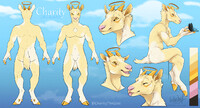 My Reference Sheet :)