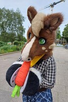 Carrot for the Beauty