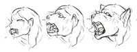 “Being Human” Style snout sequence sketch