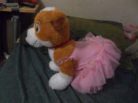 Everest put Tracker in a pink Ballerina dress