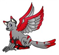 Nawuna Da Wolf and Macaw Hybrid