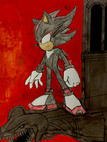 Shadow
